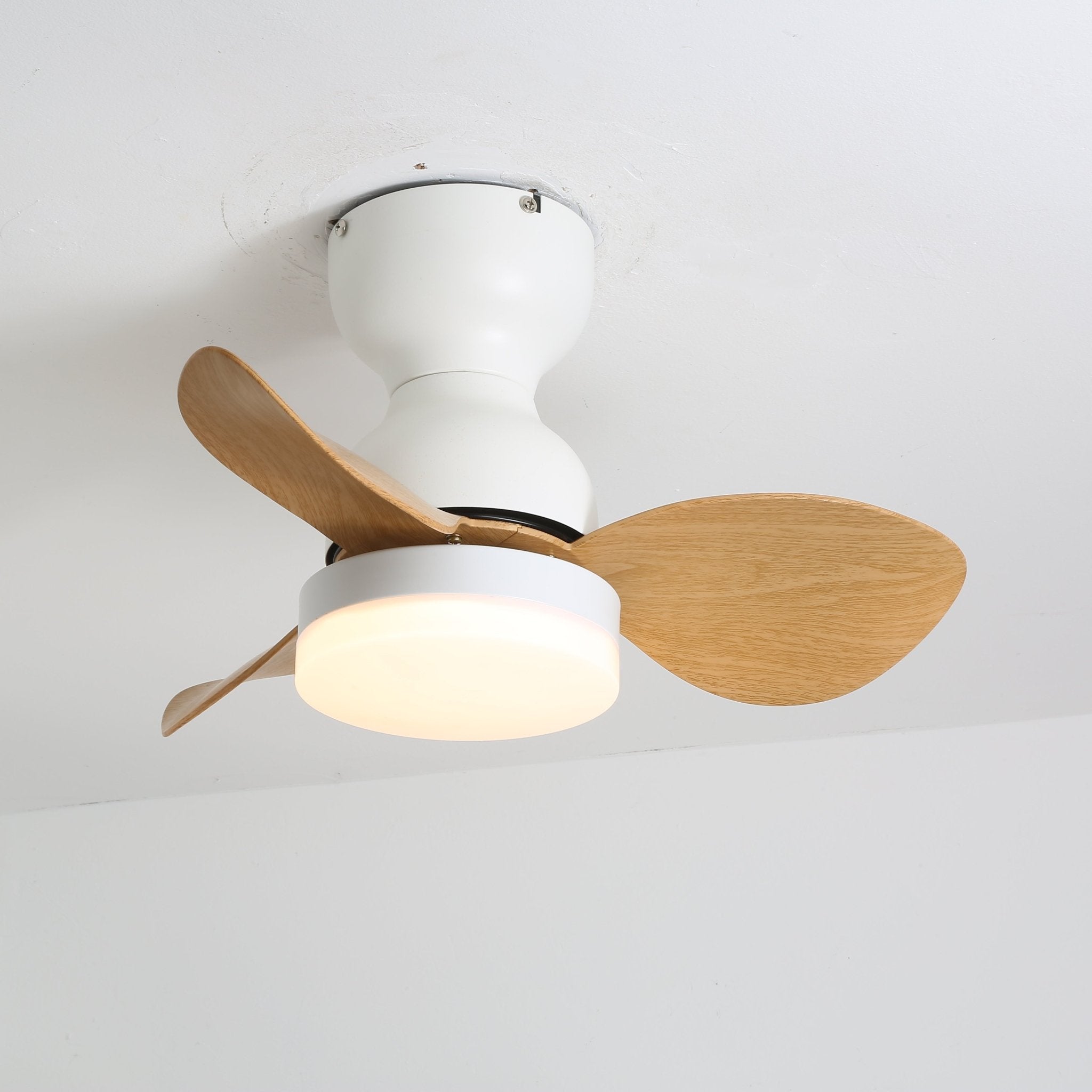 Aeroleaf Ceiling Fan Light - Image 13