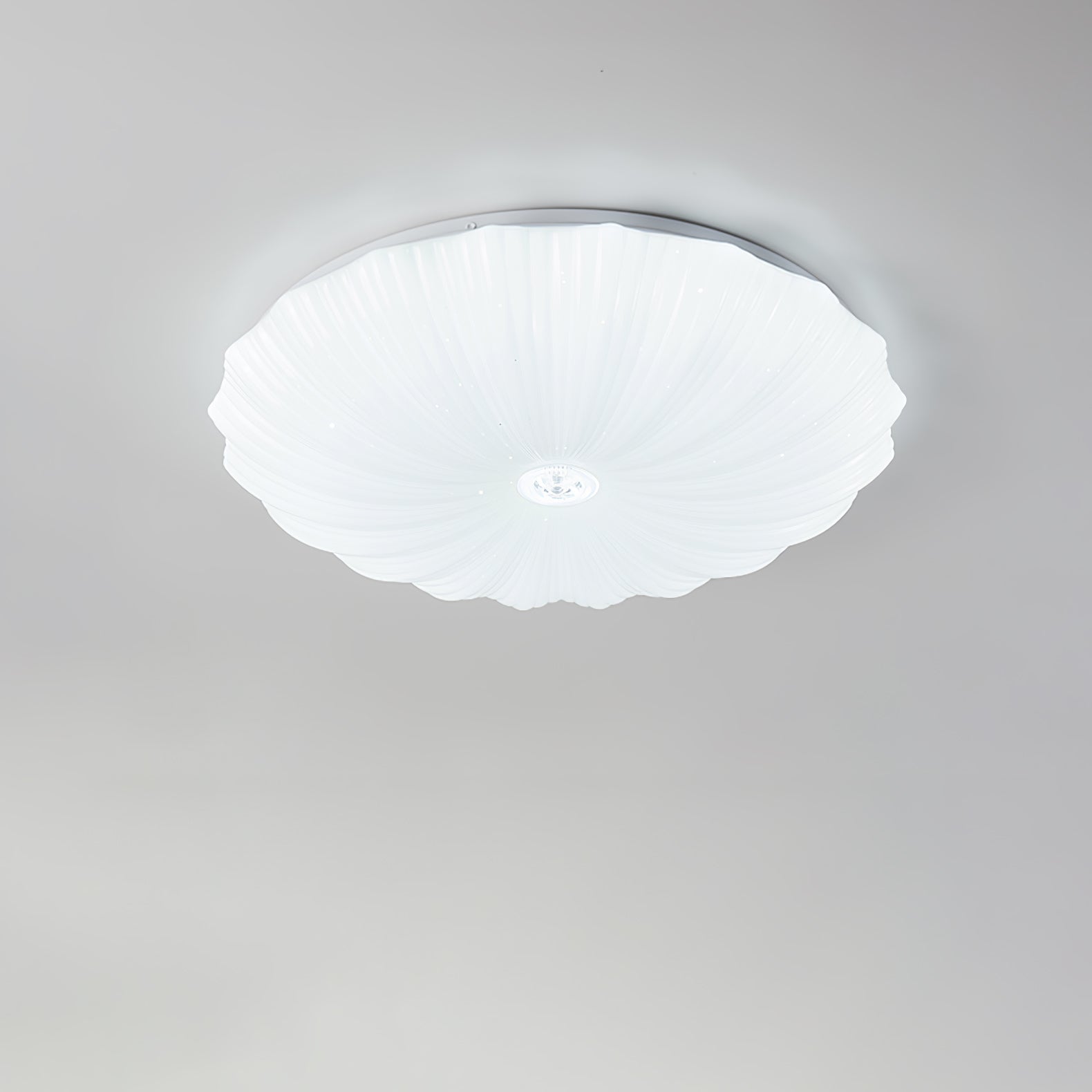 Acrylic Shell Round Ceiling Lamp - Image 12